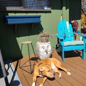 Meet your Posher, Pixie